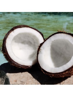 Huile de coco biologique certifiée Ecocert